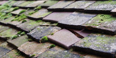 Peacehaven roof repair costs